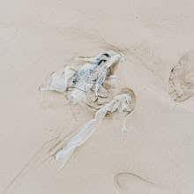 Plastic waste on a sandy beach highlighting pollution by Kaboompics.com